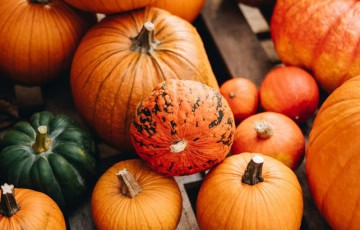 Assortment of pumpkins and gourds on a wooden surface