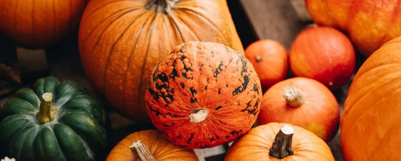Assortment of pumpkins and gourds on a wooden surface