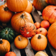Assortment of pumpkins and gourds on a wooden surface